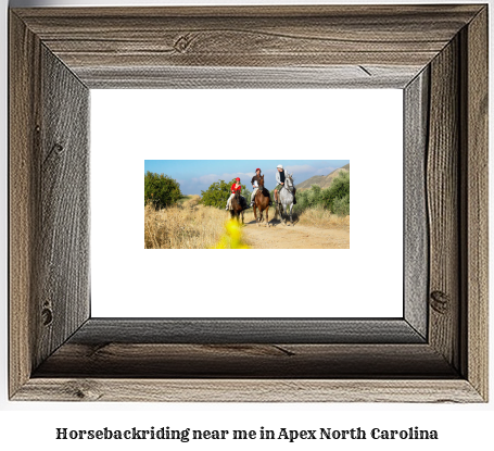 horseback riding near me in Apex, North Carolina